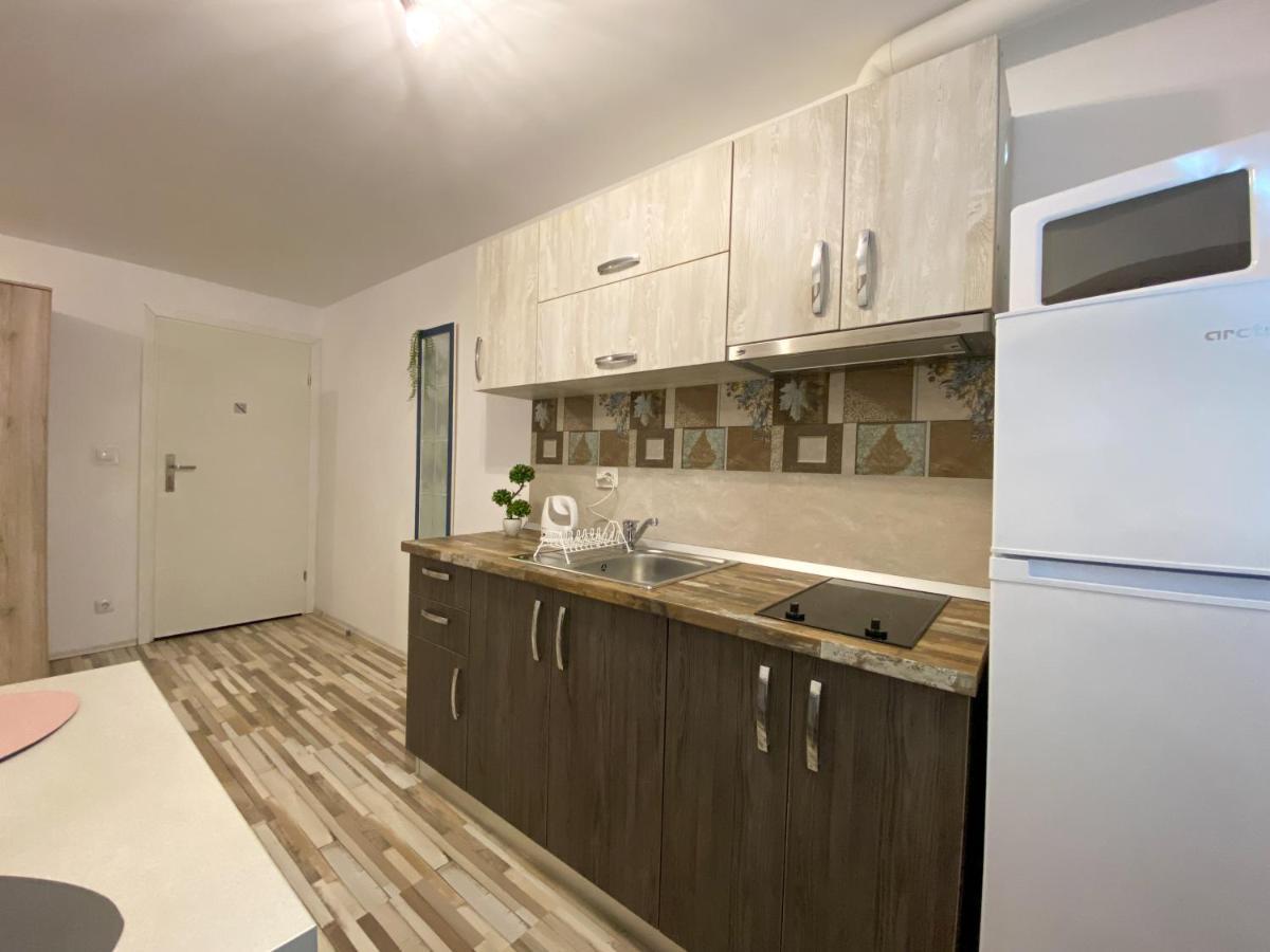 Blue Dream Apartment Тімішоара Екстер'єр фото