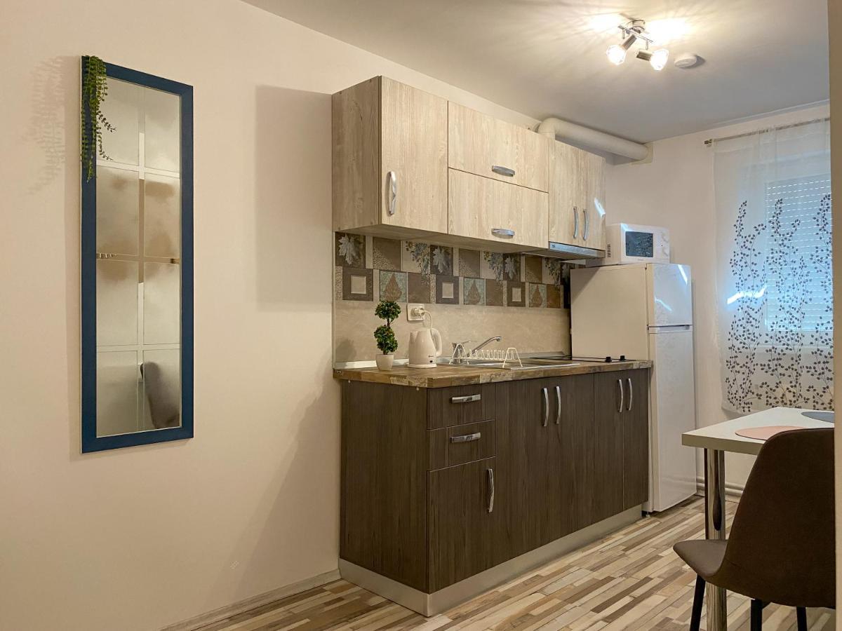 Blue Dream Apartment Тімішоара Екстер'єр фото