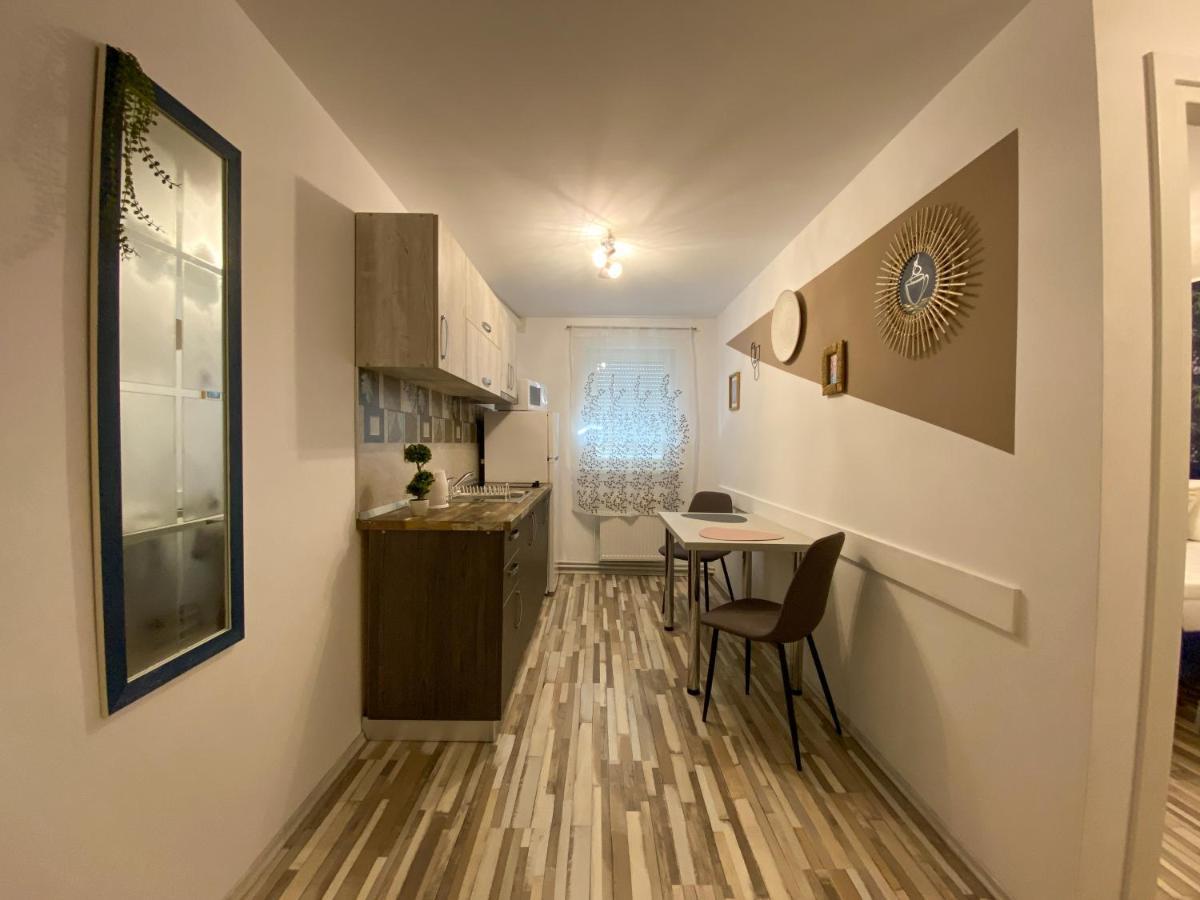 Blue Dream Apartment Тімішоара Екстер'єр фото