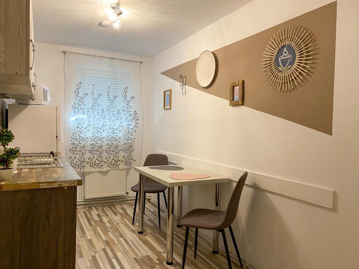 Blue Dream Apartment Тімішоара Екстер'єр фото