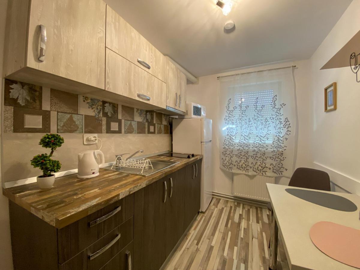 Blue Dream Apartment Тімішоара Екстер'єр фото
